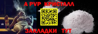 шишки Кингисепп