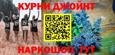 шишки Кингисепп