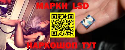 шишки Кингисепп