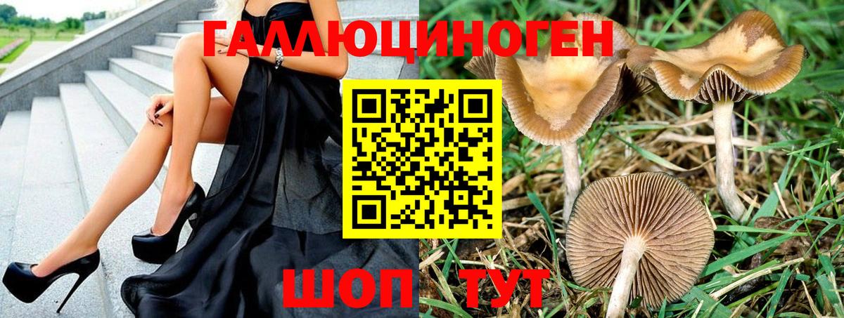 Галлюциногенные грибы ЛСД Азов