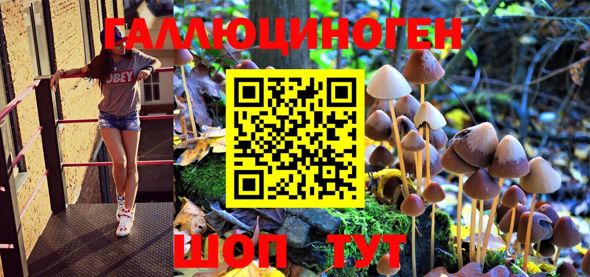 Азов  Псилоцибиновые грибы Magic Shrooms  Вход с VPN 